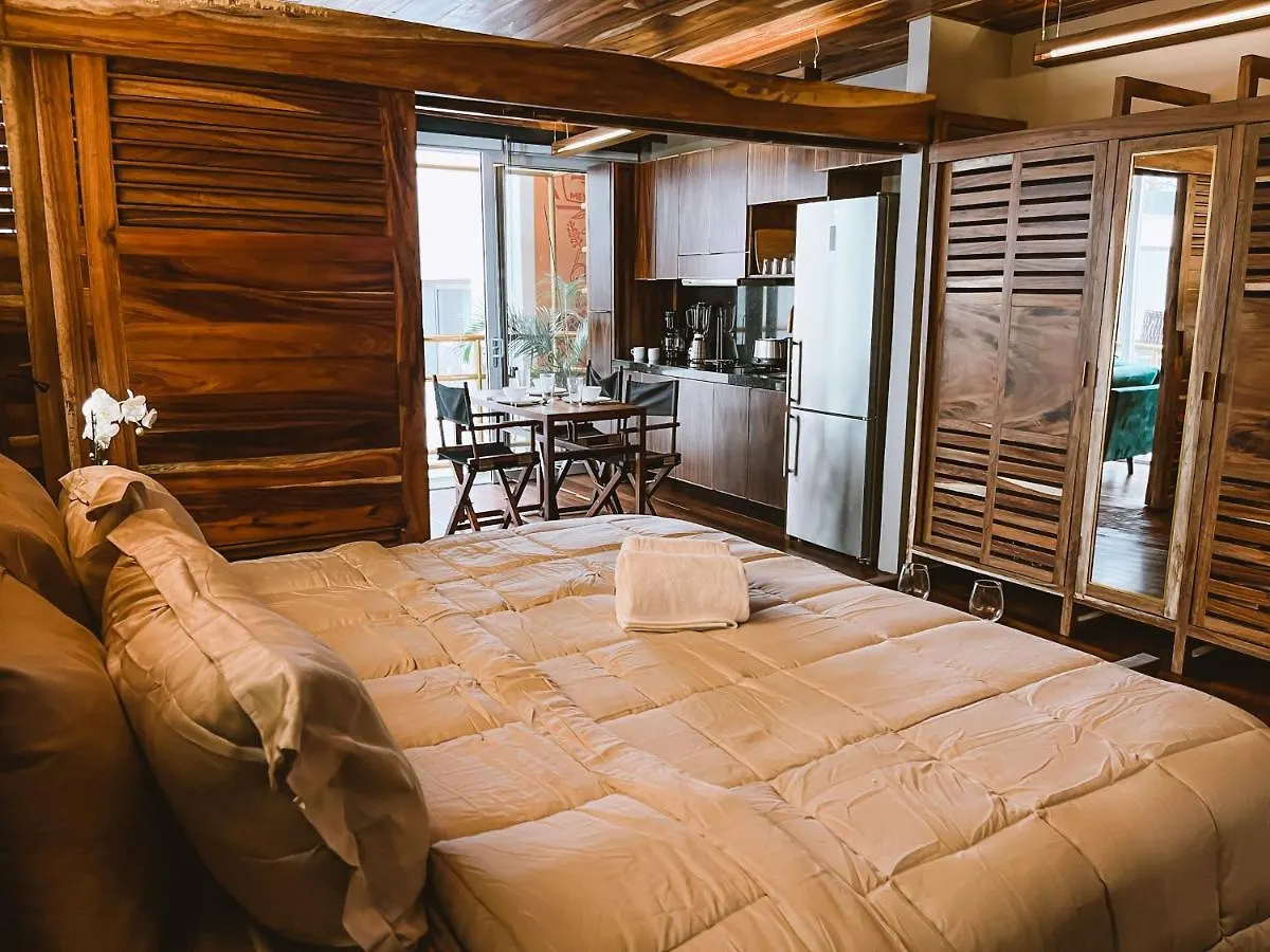 Nautical Design Apartment Near Beach Playa del Carmen 0*,